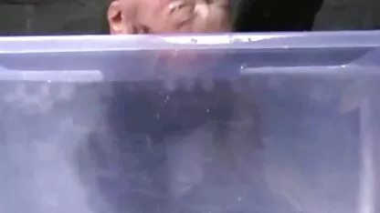 Strapon plage femme nue lesbienne jeune