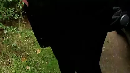 Fixe voiture baisée fille mignonne nue